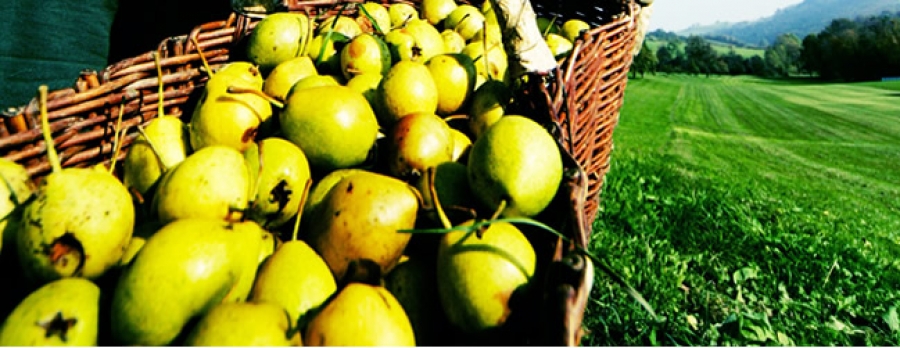 Tip na výlet: Rakouský Mostviertel