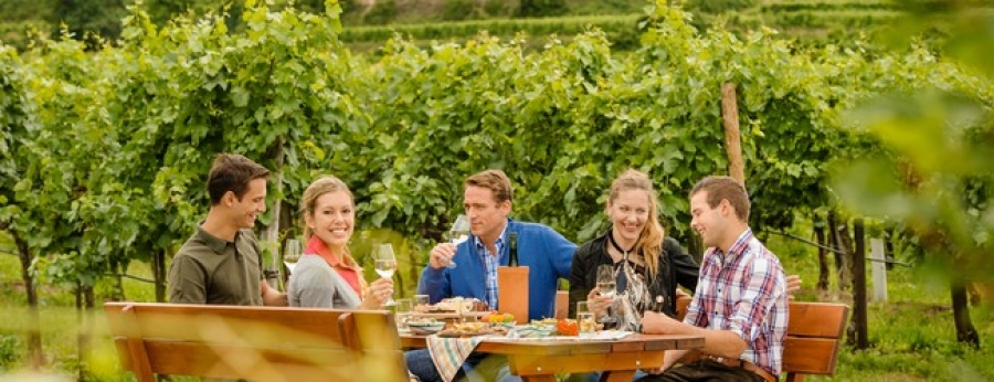 Vinařský podzim Dolního Rakouska 2014