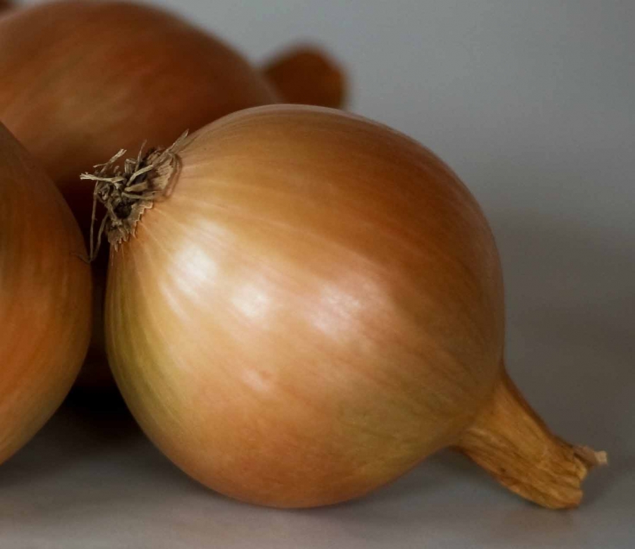 Jak vysoká je spotřeba cibule v Česku?