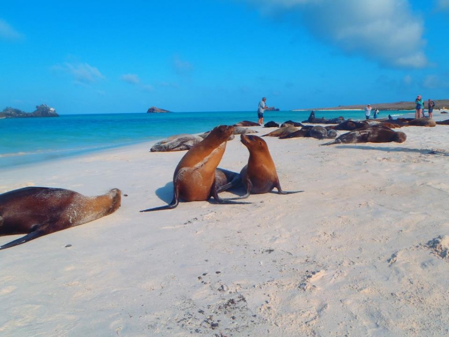 7 rad na zlepšení sexuálního života