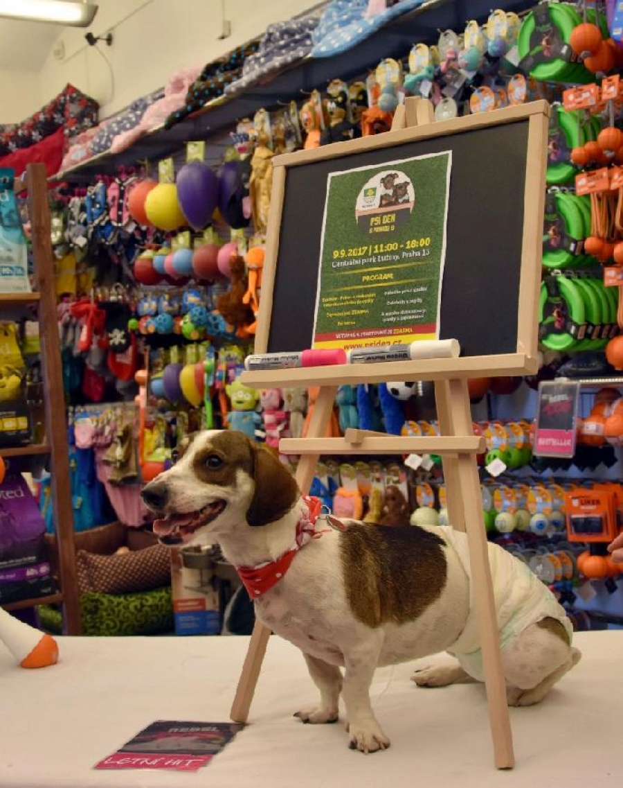 Psí den s Prahou 13