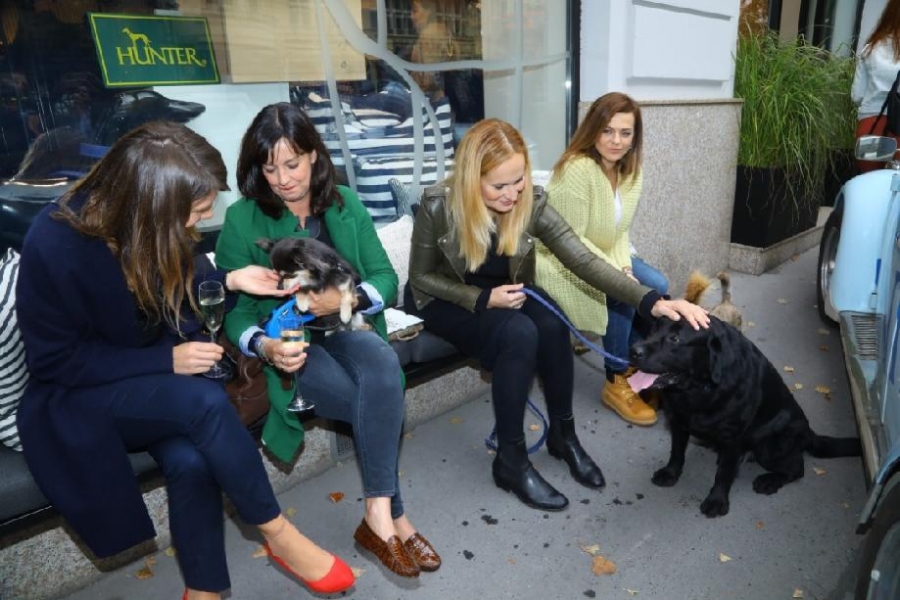 Čivava vodí dceru do školy!