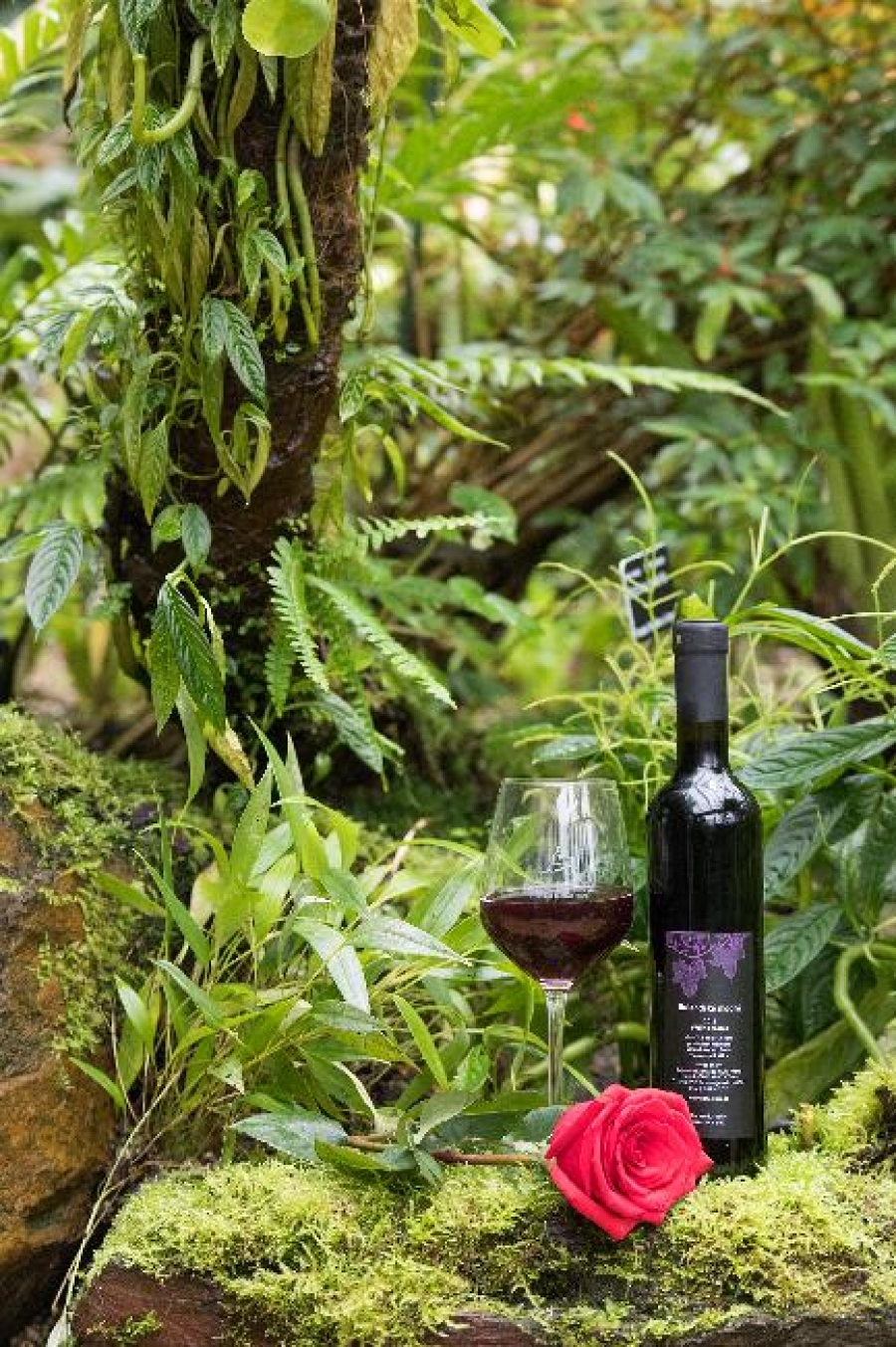 Spojte romantiku s exotikou