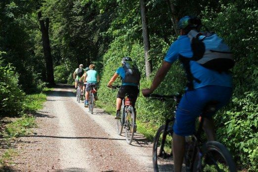 Muži preferují cyklistiku, ženy volejbal. Za sportovní aktivity v průměru utratí dva tisíce měsíčně