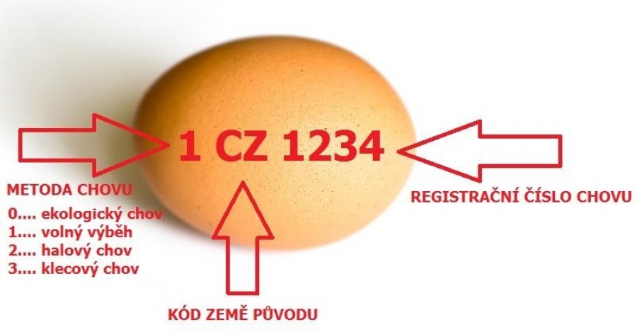 Velikonoce a vejce: jak poznat čerstvá a proč je nekupovat v supermarketu?