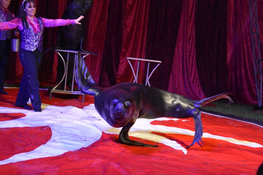 Vystupování z komfortní zóny je k ničemu