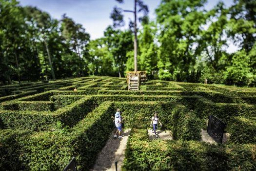 Pravý piknik uprostřed magické síly labyrintů_