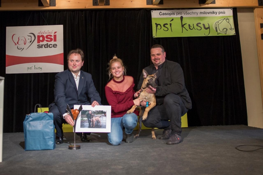 Najdeme psí hrdiny?