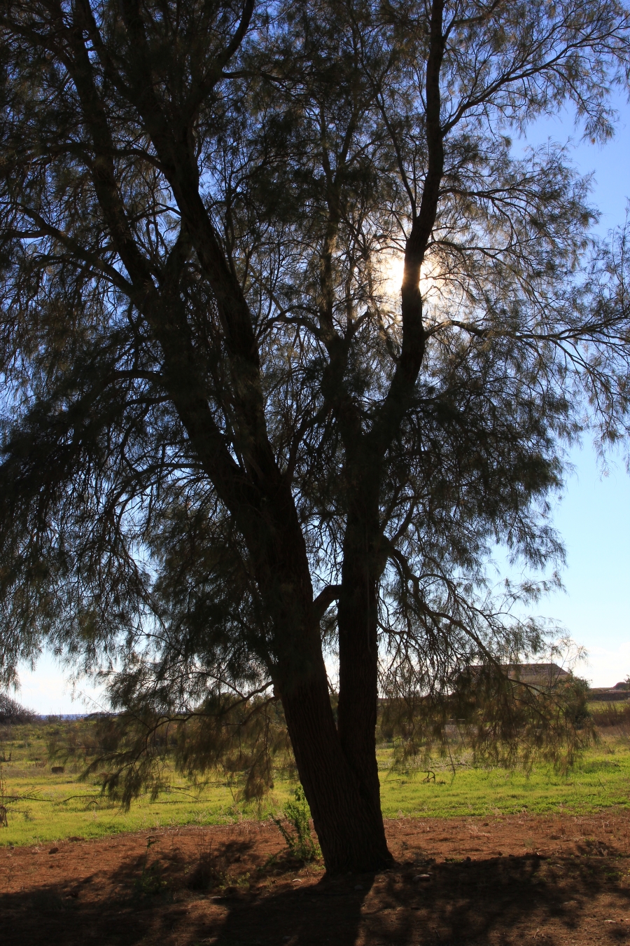 Světový den boje s rakovinou: každý rok onemocní téměř sto tisíc Čechů. Jejich šance se ale neustále zlepšují.