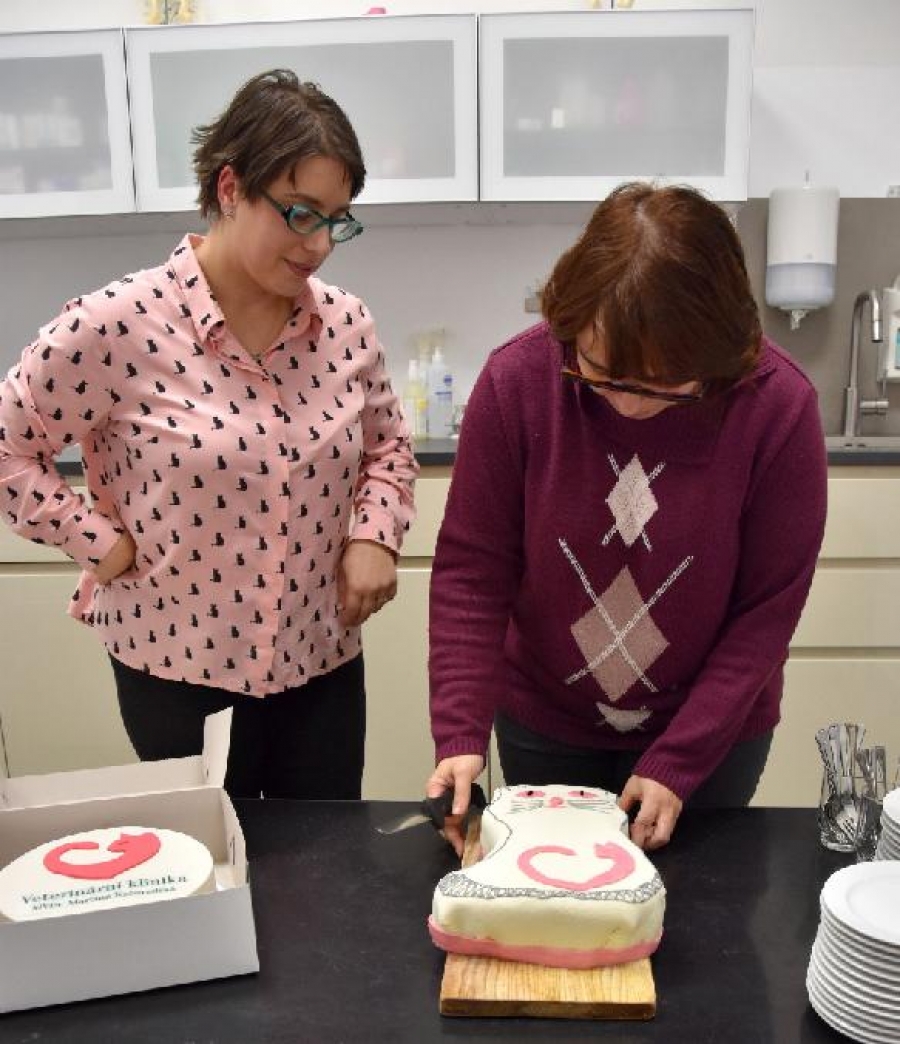 Veterinární klinika MVDr. Načeradské – nové špičkové zařízení pro čtyřnohé kamarády