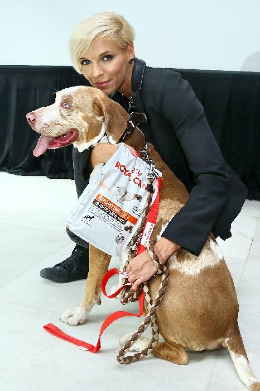 Život psů ve městech