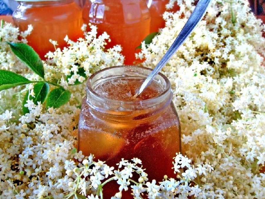 Džem z bezových květů