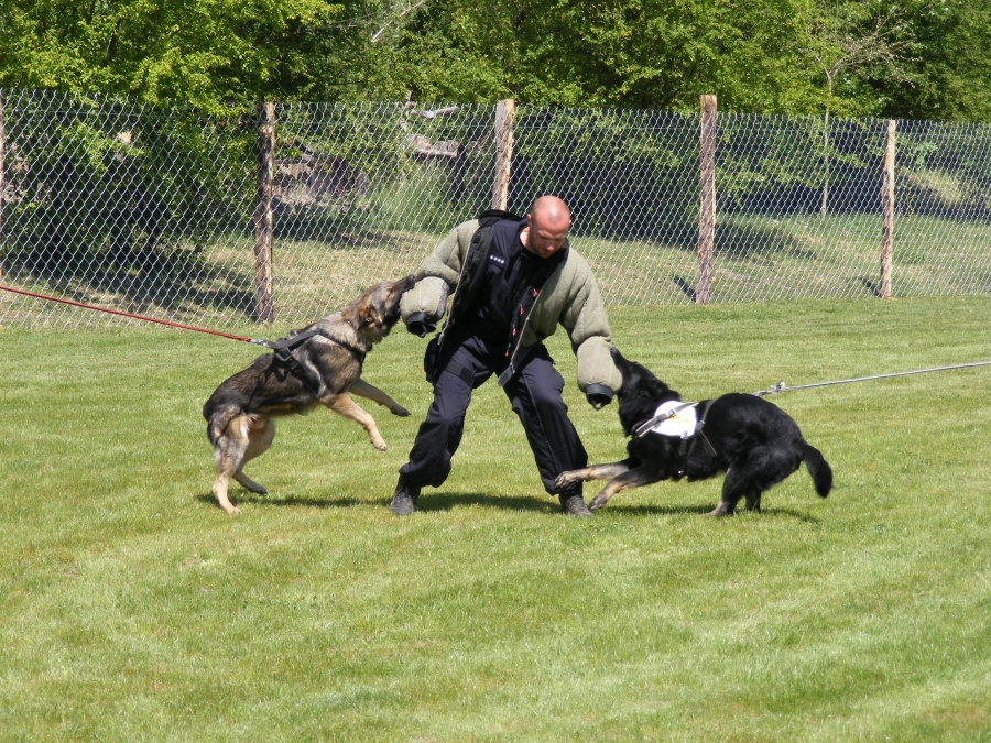 Den se záchranáři v Mirakulu