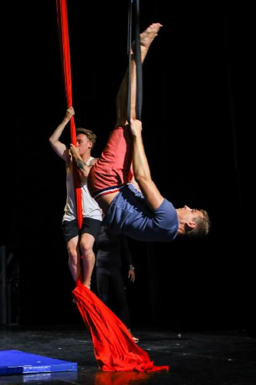 Ze zpěváků se stane divá zvěř!