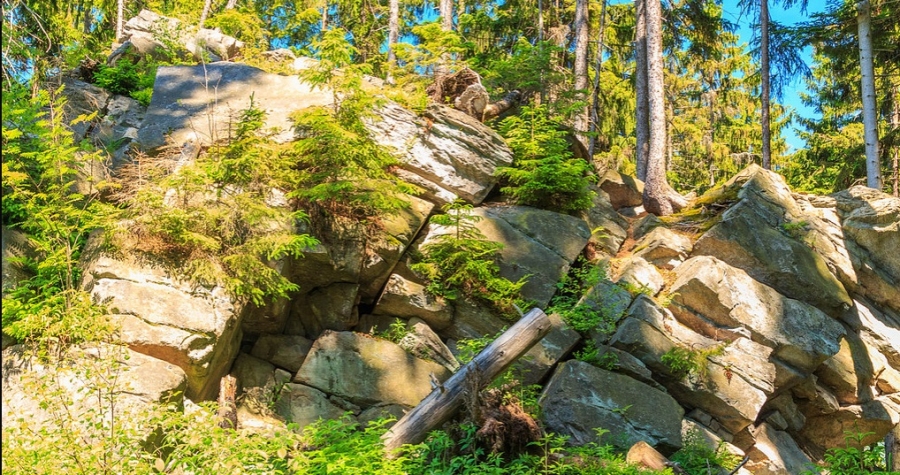 4 tipy na cyklovýlety po okolí, které si užijí malí i velcí