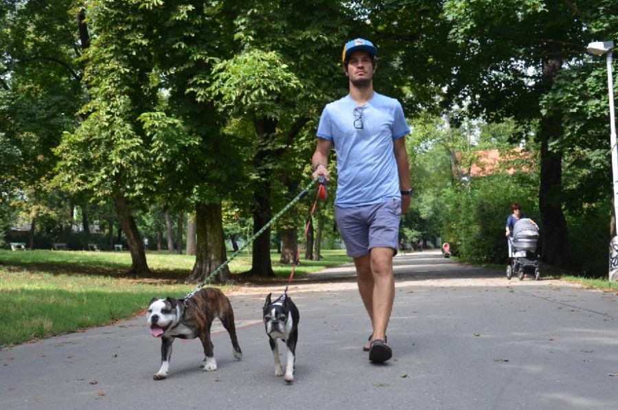 Jak David Kraus pomůže psům