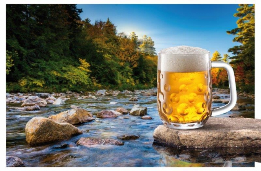 Sobotní tip pro rodiny s dětmi: Únorové tvořivé dílny v Pivovarském muzeu v Plzni