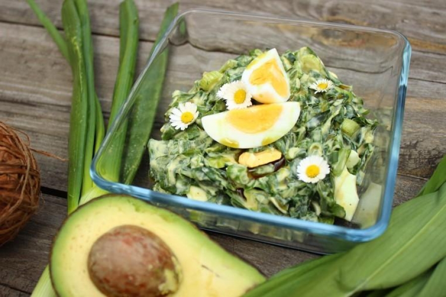 Období medvědího česneku je tu!