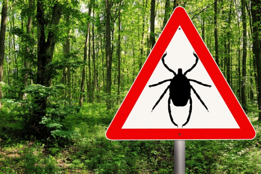 Každoroční boj s klíšťaty začíná. Jak se proti nim chránit?