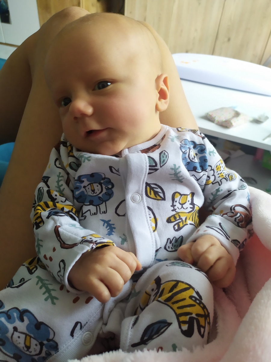 Zavádění jednoho embrya v cyklu IVF