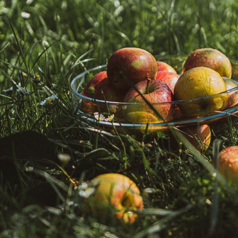 Začíná sezóna moštů! Co o nich potřebujete vědět?