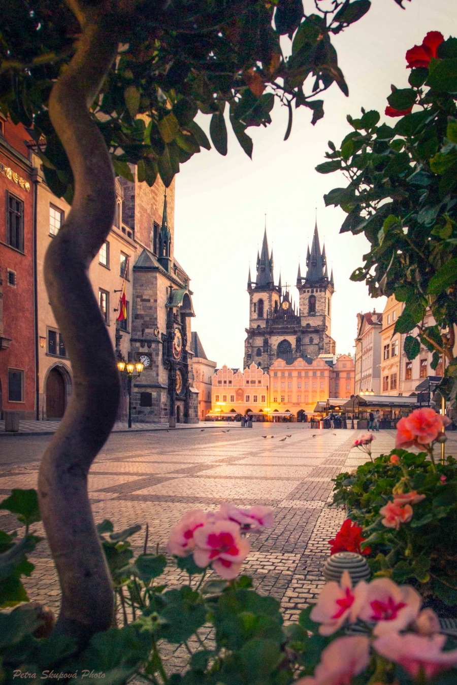 Největší Vánoční trhy letos v Praze nebudou, Staroměstské náměstí ozdobí pouze strom