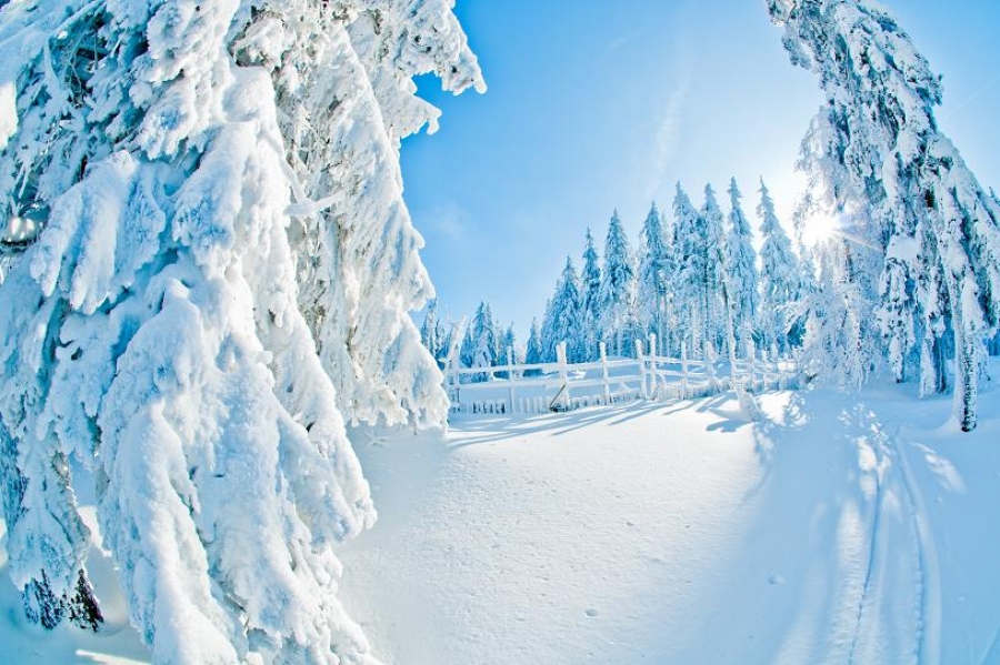 Když je zima, vzhůru do Orlických hor!