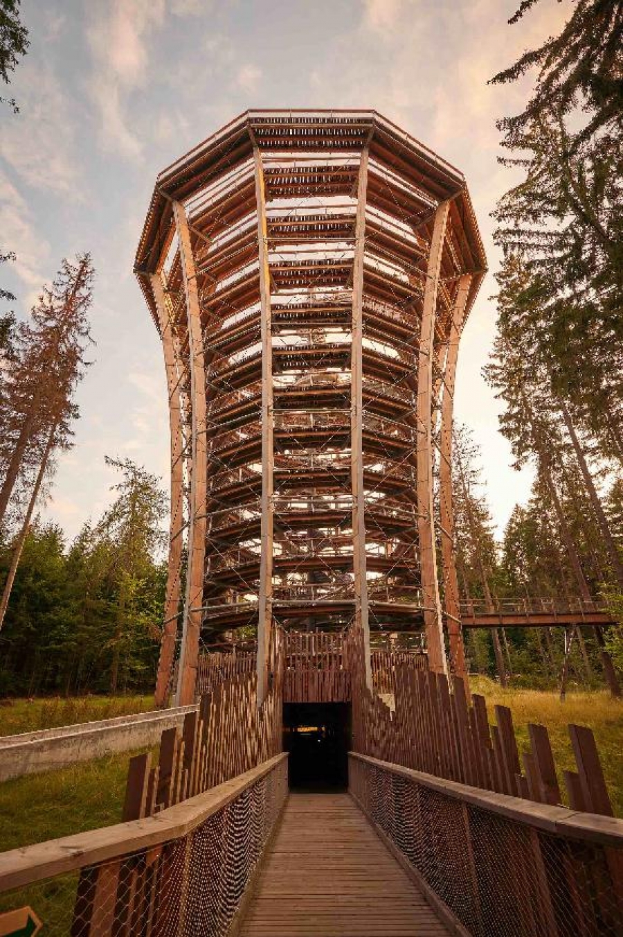 Stmívání na Stezce korunami stromů Krkonoše