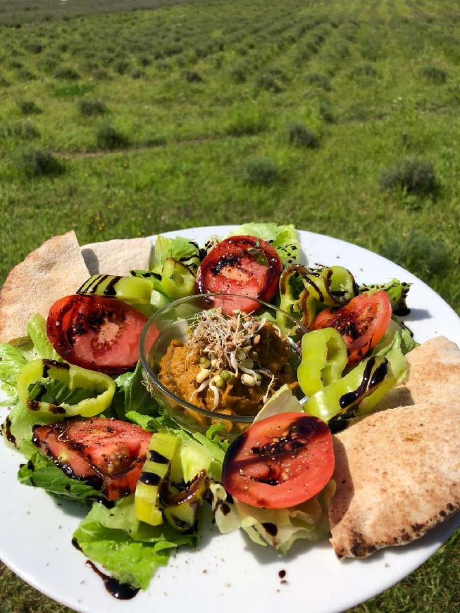 Léto v Levandulovém údolí pokračuje i v srpnu