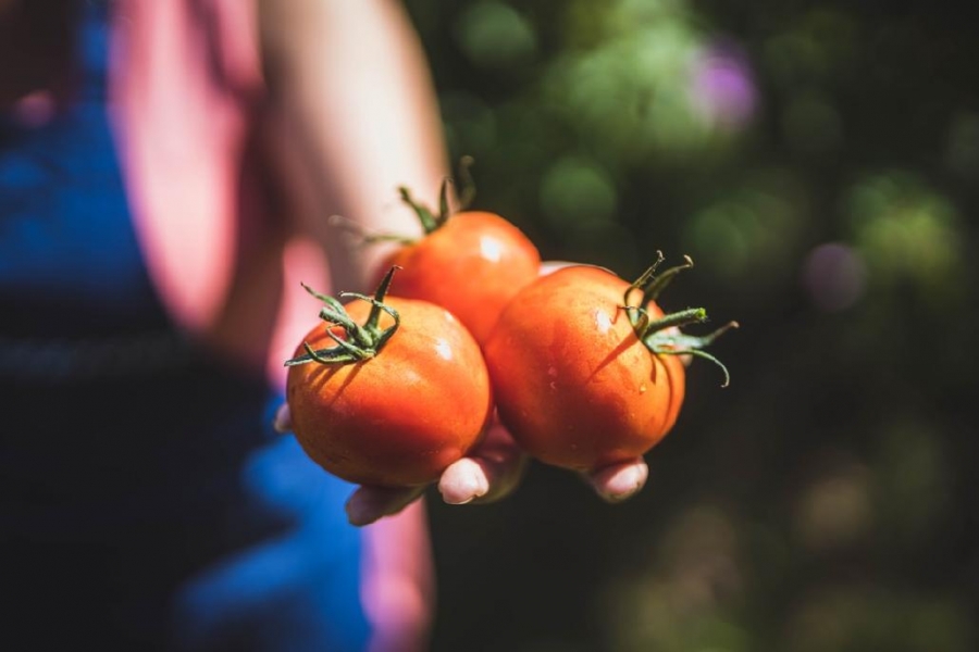Víte, čím jsou jednotlivé druhy zeleniny prospěšné?