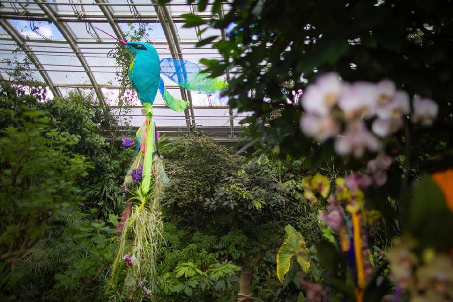 Botanická zahrada Praha zahájila výstavu orchidejí