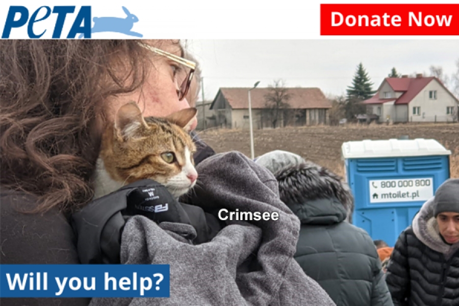 Ukrajina a zvířata