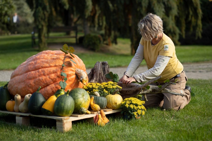 V botanické zahradě v Troji začíná výstava dýní