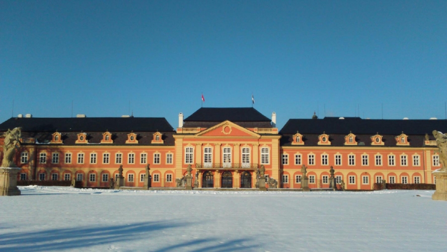 ADVENTNÍ TIP: Na vánočním trhu na zámku Dobříš nasajete sváteční atmosféru všemi smysl