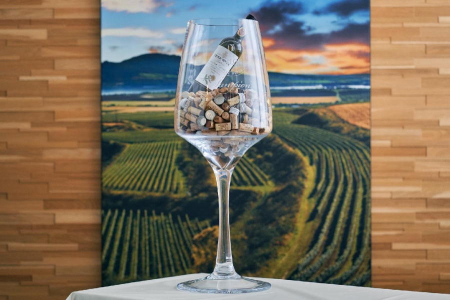 Salon vín České republiky otevírá  své brány veřejnosti