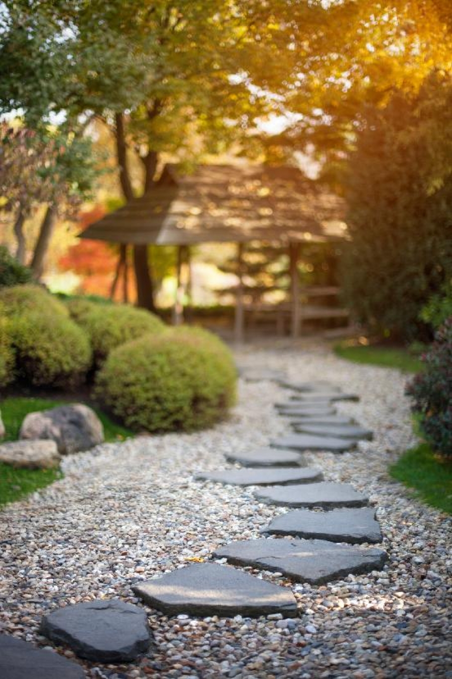 Botanická zahrada v Troji nabízí přednášky pro veřejnost