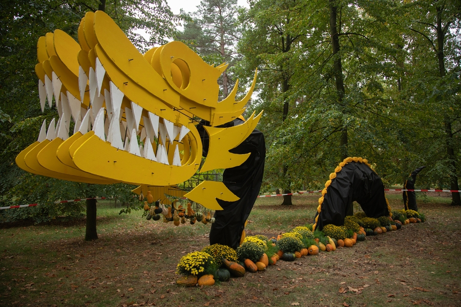 Dýňová přehlídka v botanické zahradě vrcholí. O víkendu se budou dlabat dýně a na Halloween se chystá lampionový průvod