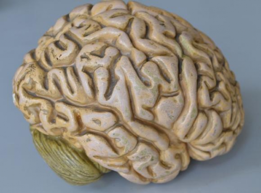 Trénovat paměť by měl každý, komu už bylo pětadvacet…