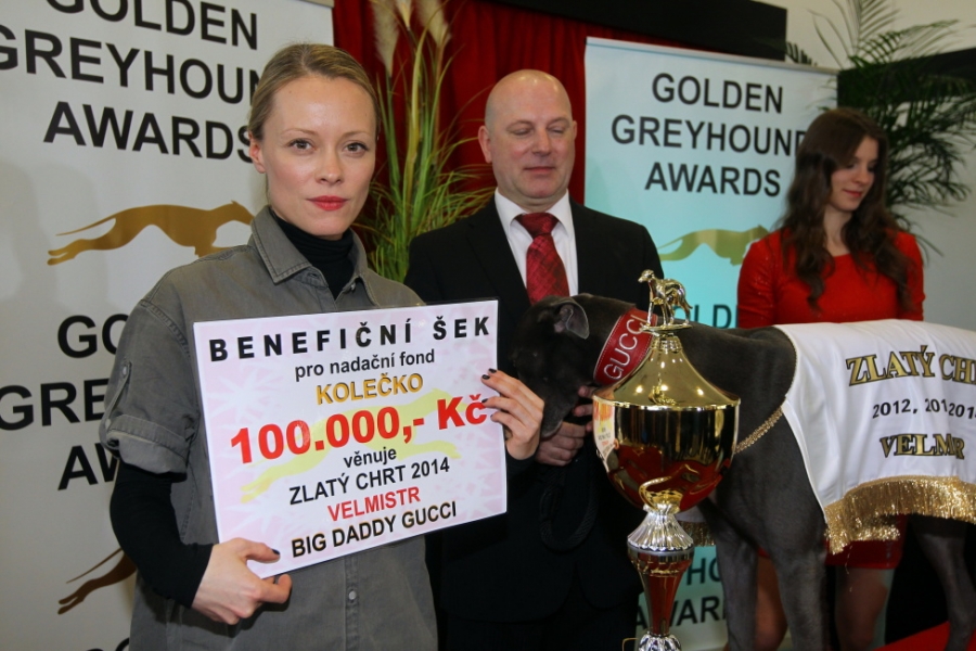 Co mají společného chrti, Iva Kubelková a Linda Rybová?