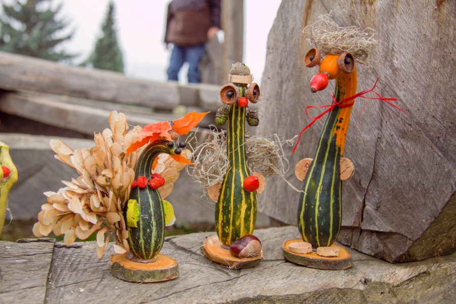 Dýňový podzim v botanické zahradě v Troji bude barevný jako Mexik