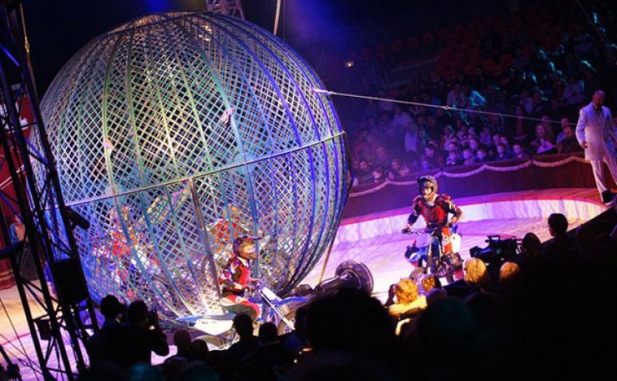 Cirkus Cirkus Festival 2025: Nejlepší artisté světa se vrací do Prahy! A žádné týrání zvířat