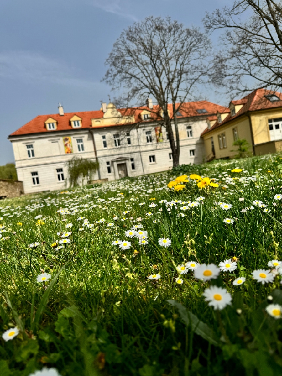 Léto ve Dvoře Čertousy - ideální místo pro grilování i cykloturistiku