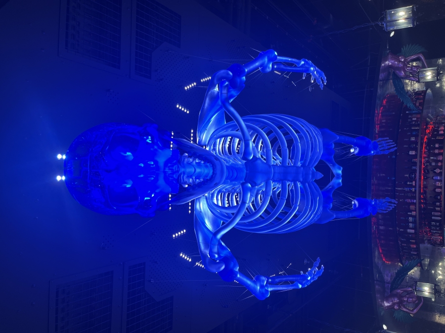 Největší skleněný kostlivec na světě nově zdobí pražský Máj – House of Fun