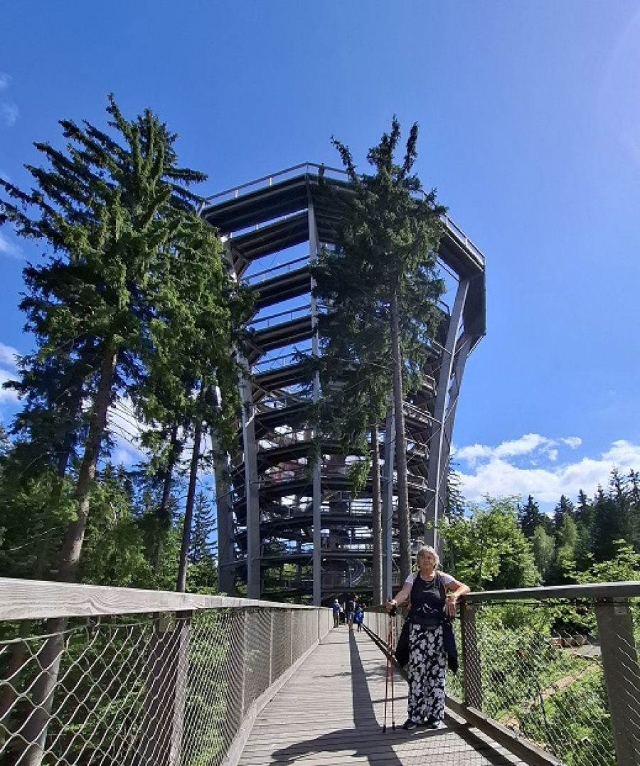 Procházka nad vrcholky Krkonoš - Stezka korunami stromů v Janských Lázních