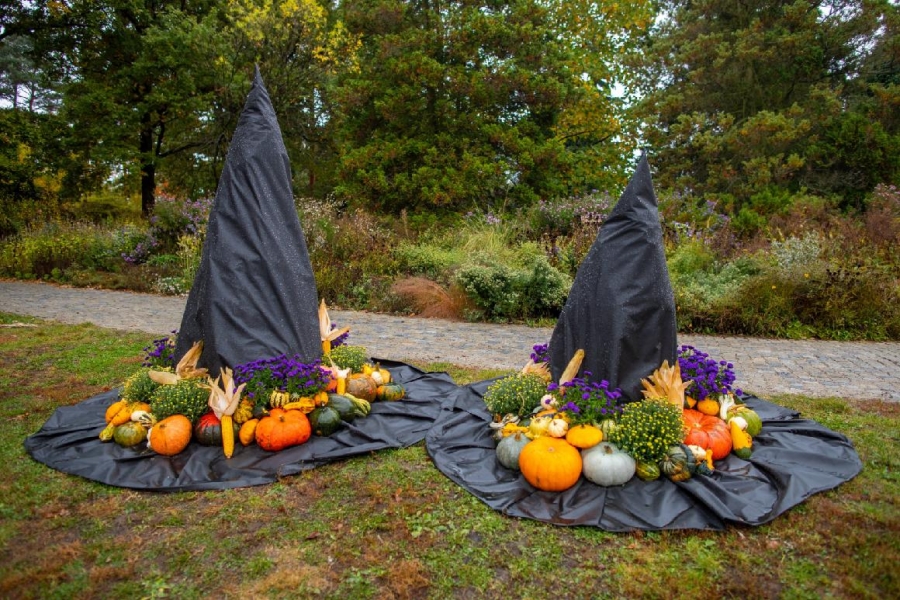 Strašidelný les plný dýní v botanické zahradě v Troji