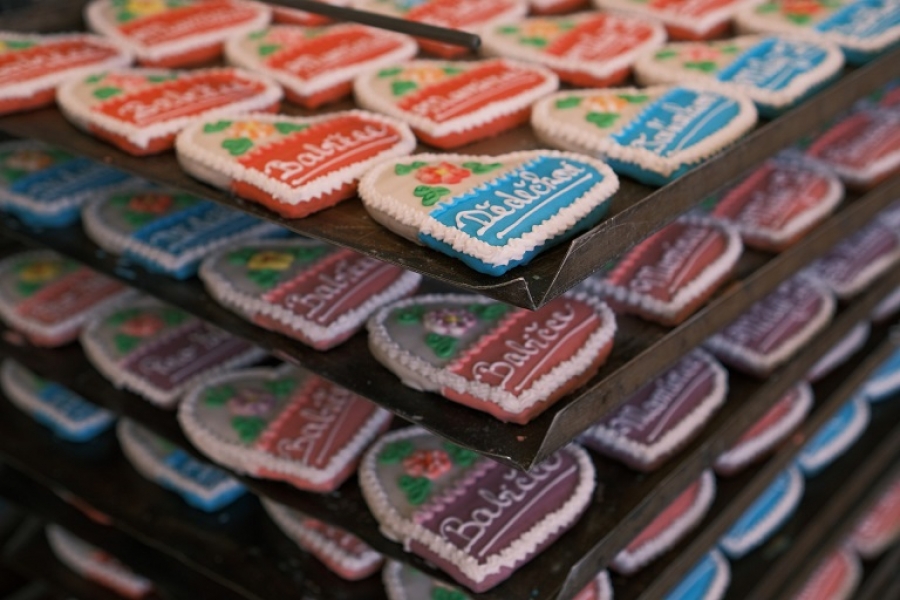 Toulava - mix dobrodružství, přírody i zážitků