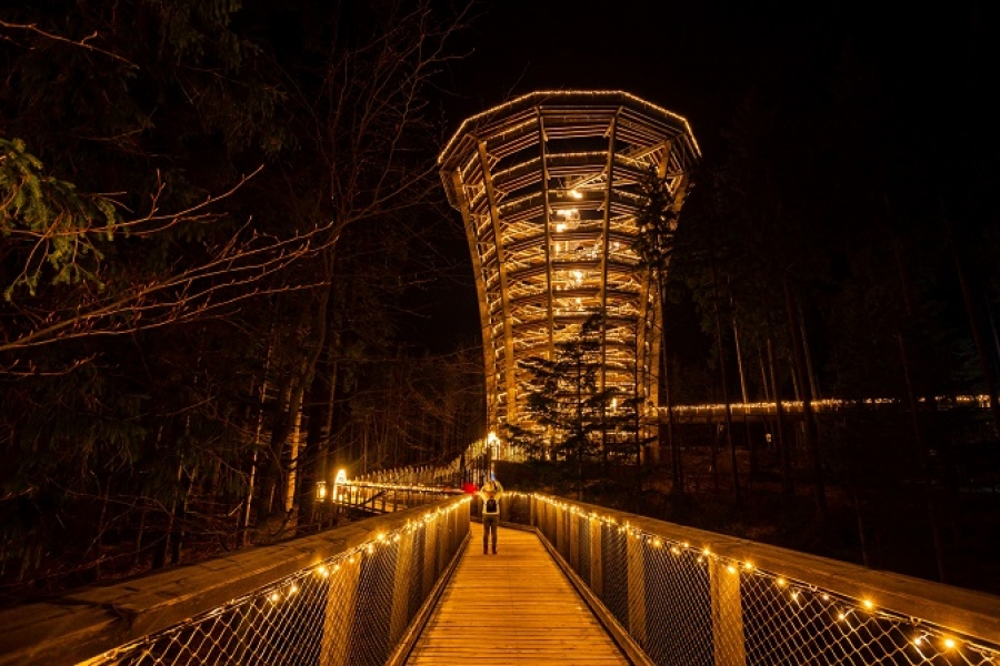 Krkonoše navazují na úspěšný světelný projekt: Světelné zimní hry v Janských Lázních nabídnou magické večerní dobrodružství.