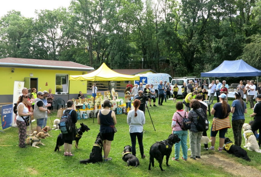 350 psích hrdinů, kteří změnili lidské životy – příběh organizace Helppes, který trvá už čtvrt století