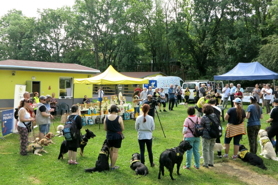 350 psích hrdinů, kteří změnili lidské životy – příběh organizace Helppes, který trvá už čtvrt století