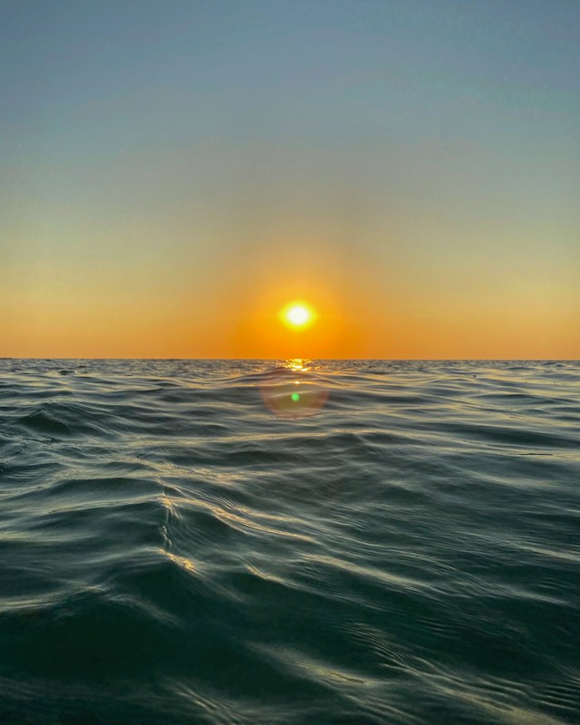 emmo-filipov-RNjHBdVVywU-unsplash